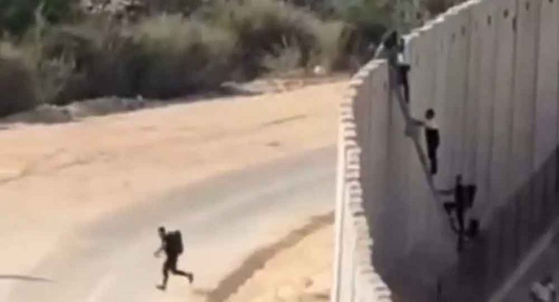 باستخدام "سلم".. فلسطينيون يتسللون إلى داخل إسرائيل