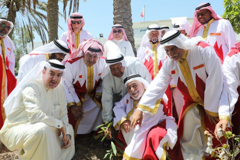 بلدية الجنوبية تبدأ المرحلة الثانية من حملة "سواعد" بغرس 50 شتلة