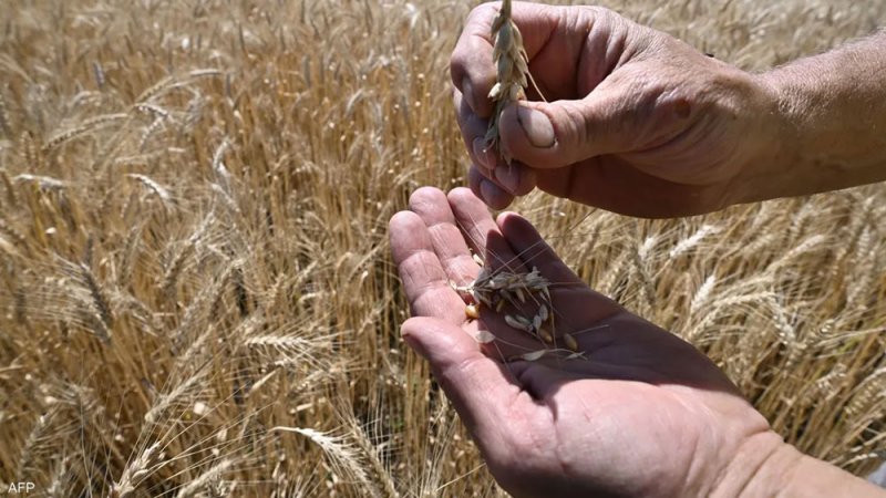 موسكو لا تستبعد أي شيء بشأن إحياء اتفاق تصدير الحبوب