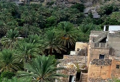 بالصور: أكثر من 50 ألف زائر لقرية عُمانية خلال النصف الأول من العام الجاري
