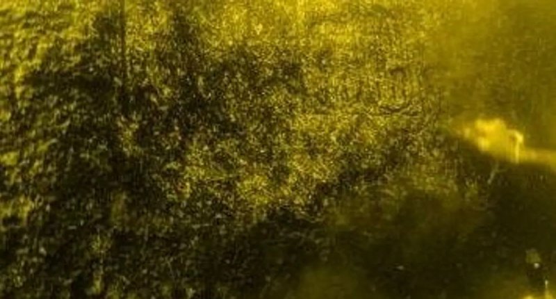 مصر.. كشف أثري جديد تحت مياه النيل
