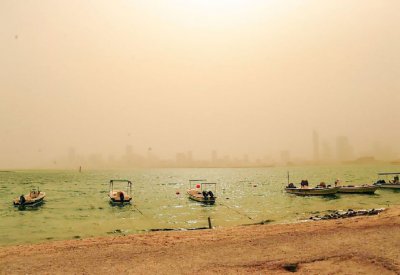 ارتفاع “مجنون” يقفز بكيلو “الصافي” لـ 10 دنانير قريبا