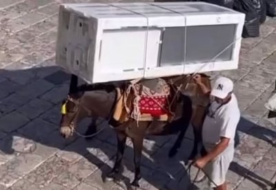 بالفيديو والصور: مطالبات بإنهاء "تاكسي الحمير" في اليونان.. تحمل السياح عبر طرق شديدة الانحدار