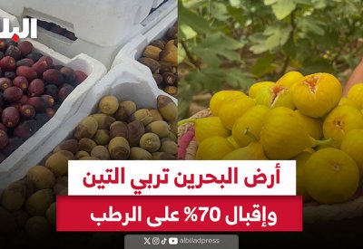مزارعون لـ “البلاد”: التين المستورد لا ينافس البحريني