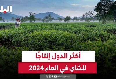 بالفيديو: أكثر الدول انتاجا للشاي في العام 2024
