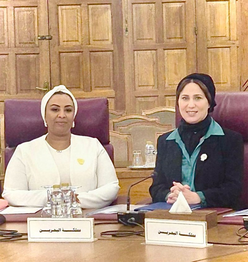رئيس قطاع شؤون حقوق الإنسان بالخارجية تشارك في الدورة العادية 54 للجنة العربية الدائمة لحقوق الإنسان