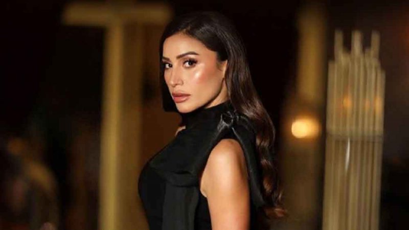 دينا الشربيني بمسلسل كامل العدد