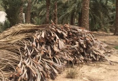 مواطن سعودي يحوّل مخلّفات النخيل إلى منتجات تحويلية