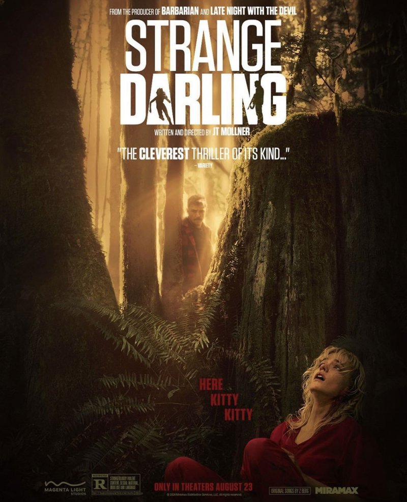 بوستر العمل المنتظر Strange Darling