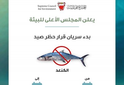 المجلس الأعلى للبيئة يعلن بدء سريان فترة حظر صيد أسماك الكنعد