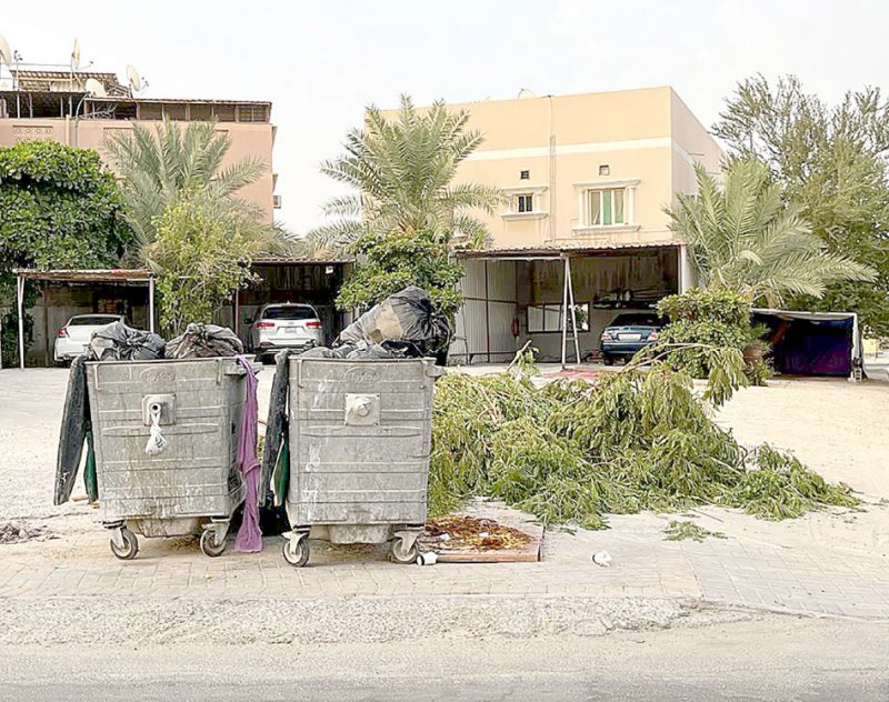 استبدال 3500 حاوية في “الجنوبية” وزيادتها بواقع 12 %