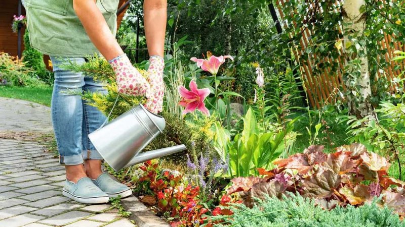 للنباتات أيضا أذن موسيقية.. دراسة تكشف مفاجآت