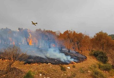 الأردن يشارك في إخماد الحرائق باليونان