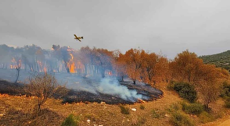 الأردن يشارك في إخماد الحرائق باليونان