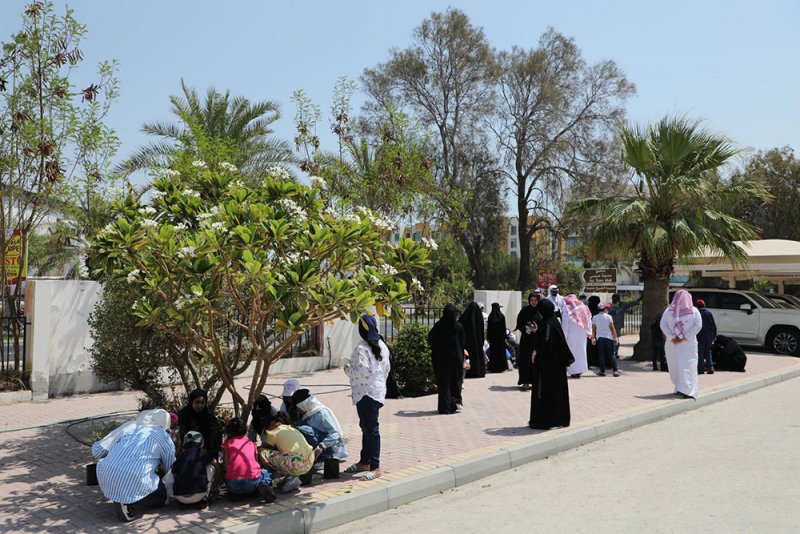 بلدية المنطقة الجنوبية تقيم حملة "سواعد" لغرس وتشجير مصادر التعلم بمشاركة طالبات توبلي الابتدائية للبنات