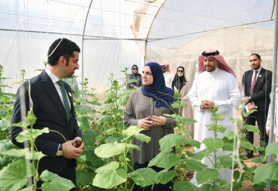 وزير "البلديات والزراعة" يتفقد مزارع هورة عالي وتطوير مشاريع البنية التحتية الزراعية