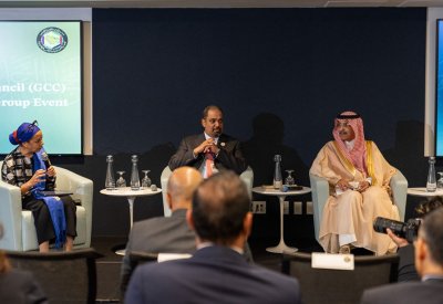 البحـريـن كرست جهودها فـي تهيئـة البنيـة التحتيـة الرقميـة