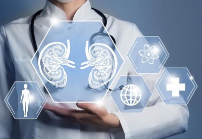 عزز صحة الكلى مع هذه الأطعمة الخارقة