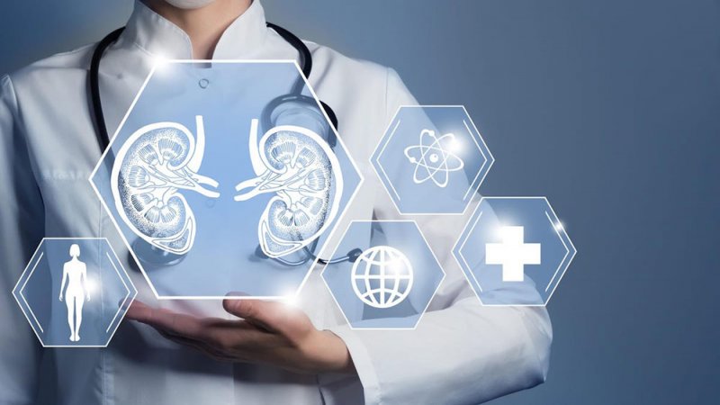 عزز صحة الكلى مع هذه الأطعمة الخارقة