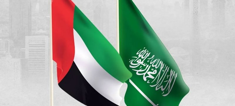 30 مليار دولار استثمارات الإمارات المباشرة في السعودية