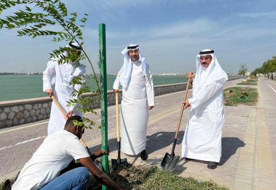 أمانة العاصمة تدشن إسبوع الشجرة في ساحل مجمع سترة التجاري
