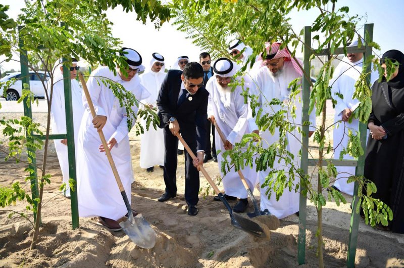 وزير شؤون البلديات والزراعة يشارك في فعاليات أسبوع الشجرة في ممشى مدينة زايد