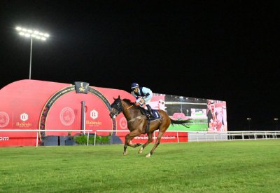 انطلاقة مثيرة لموسم سباقات الخيل