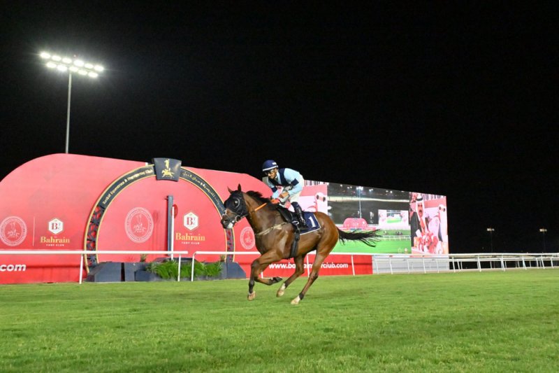 انطلاقة مثيرة لموسم سباقات الخيل