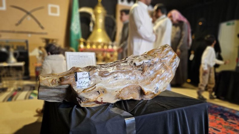 ساق شجرة متحجّرة تحمل أسرار تاريخ 200 مليون عام 