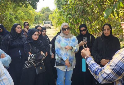 وزارة البلديات تنظم دورة "إكثار الأشجار المثمرة " لـ  200 معلم ومعلمة