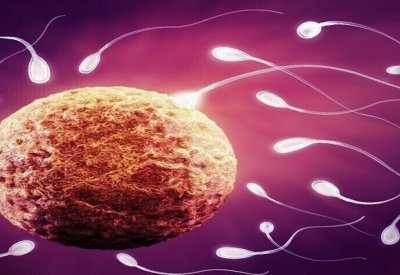 الأسباب الأكثر شيوعا لعقم الرجال