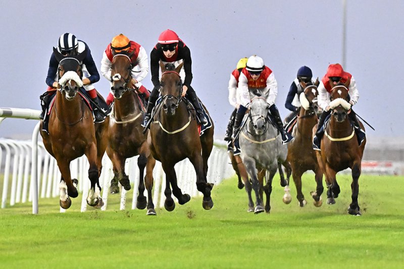 غدا انطلاق منافسات الجياد في السباق الرابع لهذا الموسم
