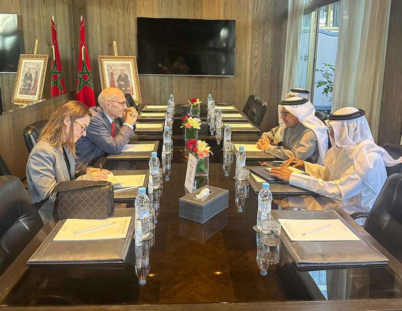 وزير الخارجية يجتمع مع المفوض السامي لحقوق الإنسان 