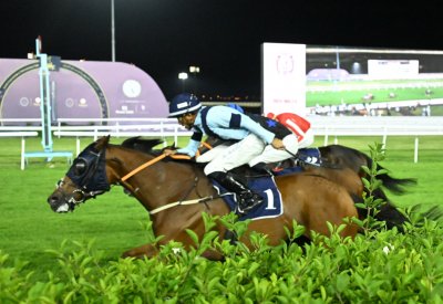 انتصارات مثيرة للجياد المرشحة بسباق الخيل