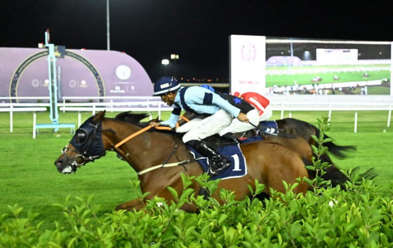 انتصارات مثيرة للجياد المرشحة بسباق الخيل