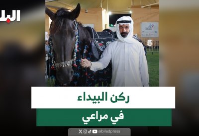 ركن البيداء في مراعي