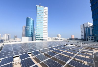 مشروع طاقة شمسية في "الدواجن".. وهذه تكلفة الكليوواط
