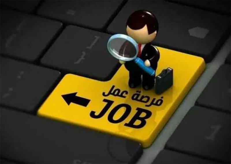 مطلوب كاشير: دليلك الشامل للعثور على الفرصة المناسبة