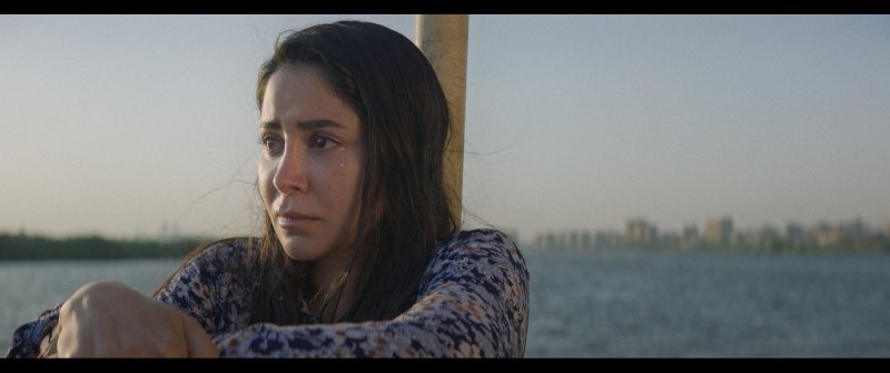 بالبحر الأحمر السينمائي.. فيلم "ضي" أضاع الطريق