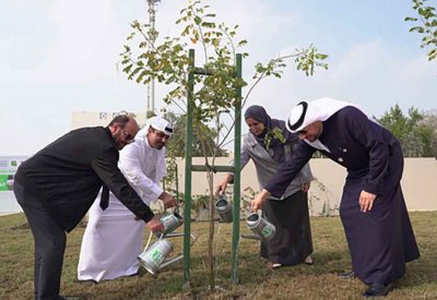 زراعة 335 شجرة وشجيرة في شارع مشتان