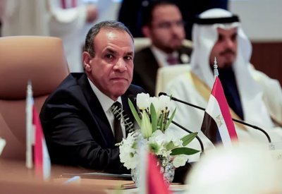 مصر تؤكد: لا يجب إيواء أي عناصر إرهابية في سوريا
