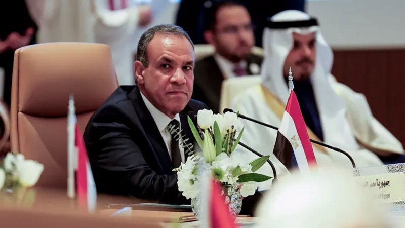 مصر تؤكد: لا يجب إيواء أي عناصر إرهابية في سوريا