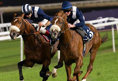 مشاركة كبيرة تشعل الحماس في " أمسية روياليتي " لسباق الخيل