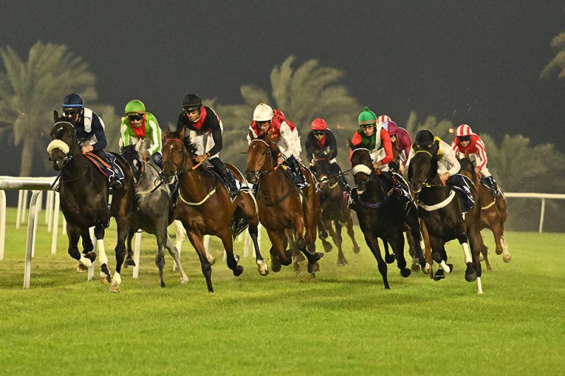 نادي راشد للفروسية ينظم النسخة الثانية من" أمسية رويالتي " لسباق الخيل