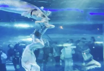 بالفيديو: سمكة قرش تشفط رأس سباحة روسية وتحاول ابتلاعها