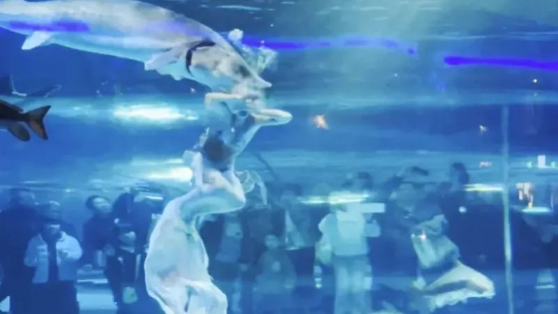 بالفيديو: سمكة قرش تشفط رأس سباحة روسية وتحاول ابتلاعها