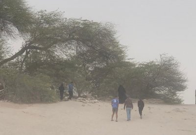 بالفيديو والصور: بر الصخير وسط العاصفة الرملية