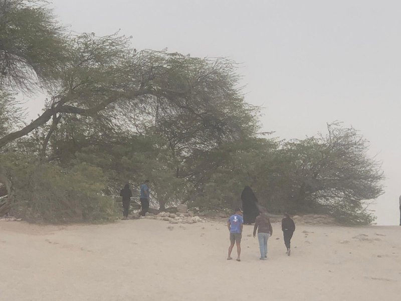 بالفيديو والصور: بر الصخير وسط العاصفة الرملية
