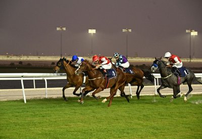 مشاركة كبيرة للجياد في السباق الثامن عشر للخيل