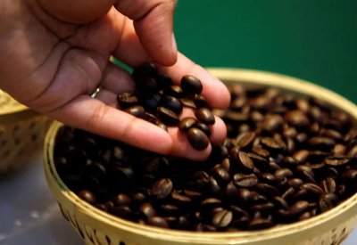 ارتفاع قياسي في أسعار القهوة... هل يتحول فنجانك الصباحي إلى رفاهية؟